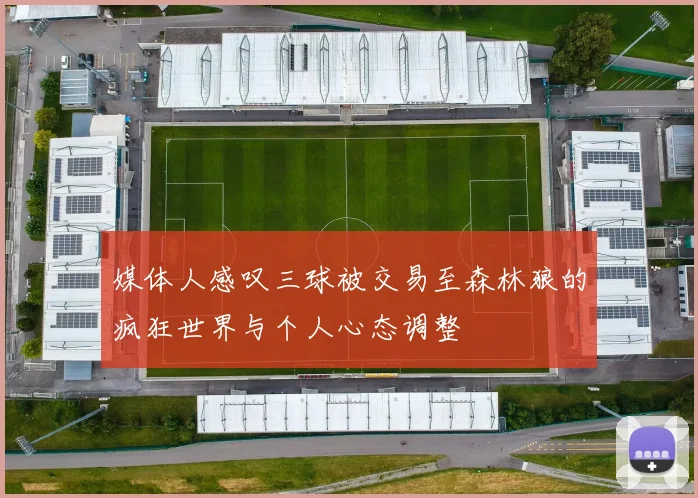 媒体人感叹三球被交易至森林狼的疯狂世界与个人心态调整